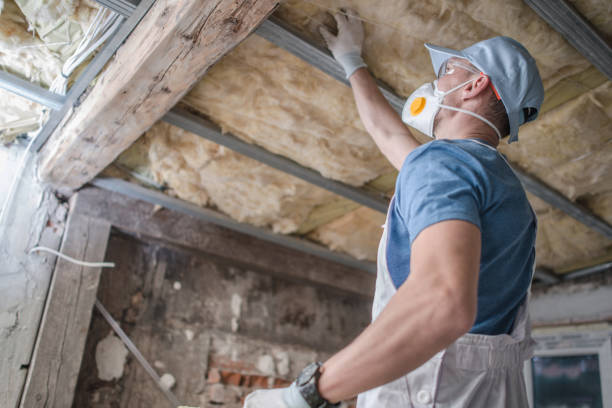 Best Fiberglass Insulation  in Uvalde, TX